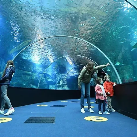 招待所 4 Vent « Vent Du Nord »