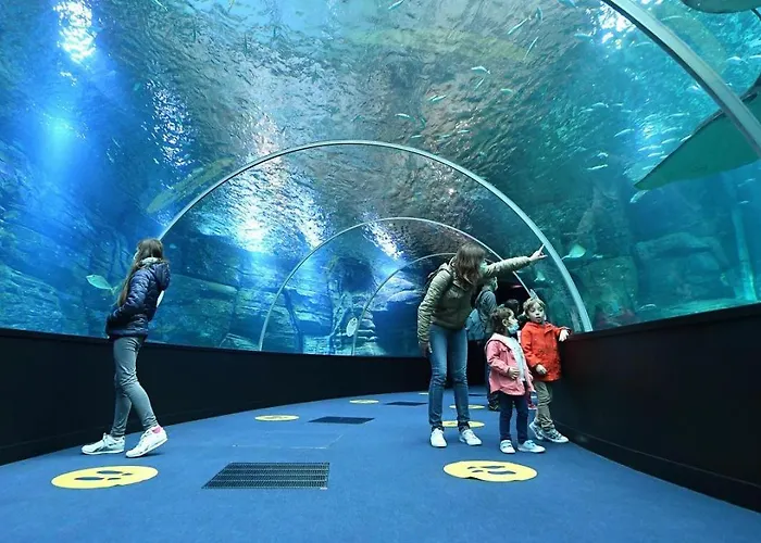 Maison d'hôtes 4 Vent « Vent Du Nord »